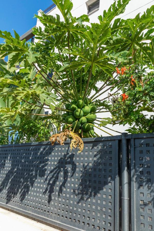 Medano4You The Strelitzia Terrace El Médano Exteriör bild